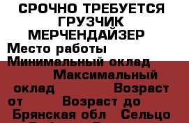 СРОЧНО ТРЕБУЕТСЯ ГРУЗЧИК-МЕРЧЕНДАЙЗЕР › Место работы ­ Fix hrice › Минимальный оклад ­ 19 000 › Максимальный оклад ­ 20 000 › Возраст от ­ 18 › Возраст до ­ 45 - Брянская обл., Сельцо г. Работа » Вакансии   